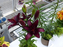 Foto: Dr. Peter Müller